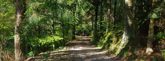 Wandern in der Eifel